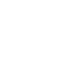 Bloom(valorant)