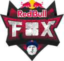 FOX Gaming (counterstrike)