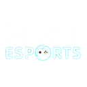 Howest Esports (counterstrike)