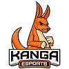 Kanga (counterstrike)