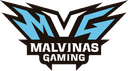 Malvinas Gaming (counterstrike)