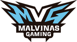 Malvinas Gaming(counterstrike)