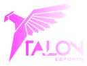 Talon Esports (counterstrike)