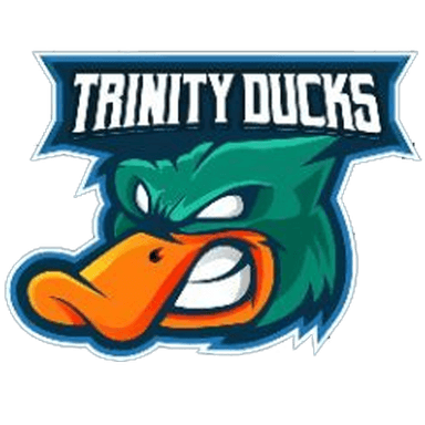 Trinity ducks