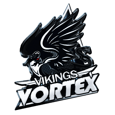 Vikings.Vortex