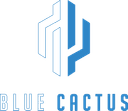 Blue Cactus (dota2)