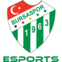 Bursaspor Esports (dota2)