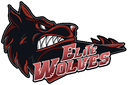 Elite Wolves (dota2)