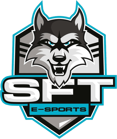 SFTe-sports