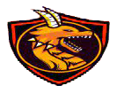 Team D(dota2)