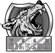 Team DileCom(dota2)