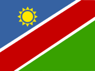 Team Namibia(dota2)