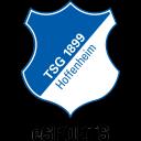 TSG Hoffenheim (fifa)
