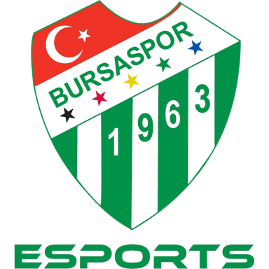 Bursaspor Esports Academy