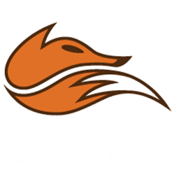 Echo Fox(lol)