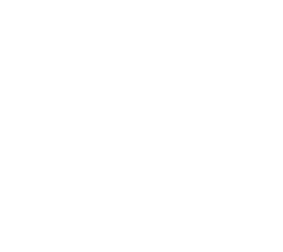 Invictus Gaming (lol)