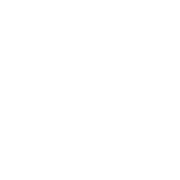 MAD Team(lol)