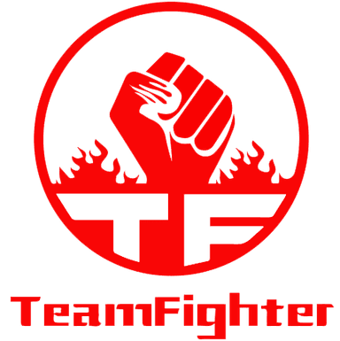 Team Fighter