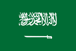 Team Saudi Arabia(lol)