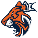 Auburn Esports (overwatch)