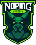 NoPing e-Sports (overwatch)
