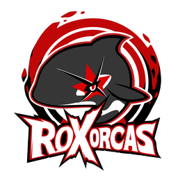 ROX Orcas(overwatch)