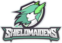 ShieldMaidens Team