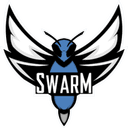 Swarm (overwatch)