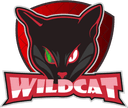 WildCat (overwatch)