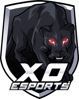 XO Esports(overwatch)
