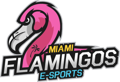 Miami Flamingos