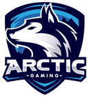 Arctic Gaming (rainbowsix)