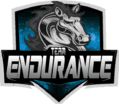 Endurance (rocketleague)