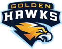 Golden Hawks (rocketleague)