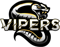 Vipers eSports(rocketleague)