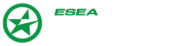 ESEA Open Season 38 Asia-Pacific