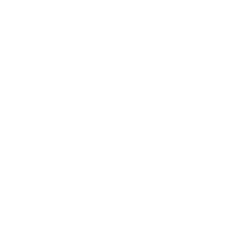 Prime League Summer 2021