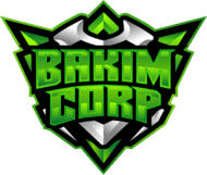 Bakim Corp(valorant)