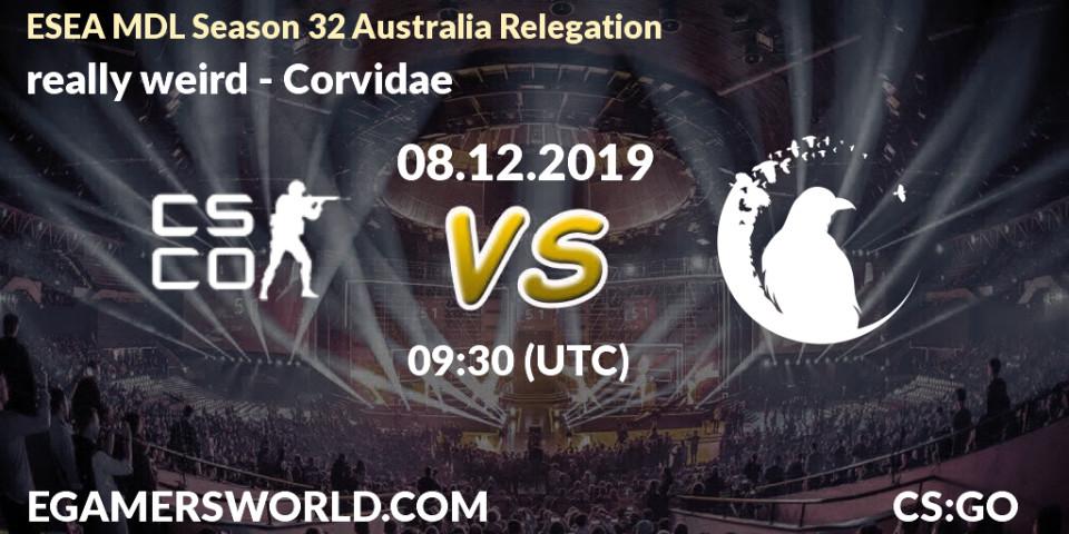 really weird - Corvidae: прогноз. 08.12.19, CS2 (CS:GO), ESEA MDL Season 32 Australia Relegation