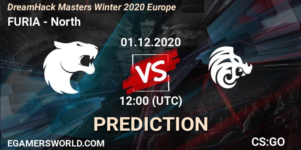 FURIA - North: прогноз. 01.12.20, CS2 (CS:GO), DreamHack Masters Winter 2020 Europe