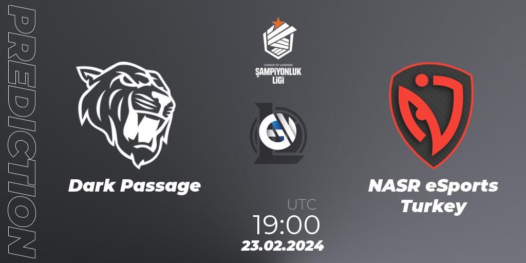 Dark Passage - NASR eSports Turkey: прогноз. 23.02.24, LoL, TCL Winter 2024